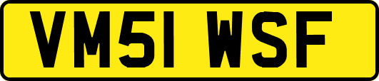 VM51WSF