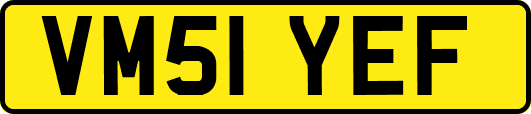 VM51YEF