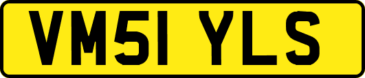 VM51YLS
