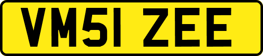 VM51ZEE