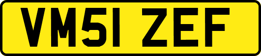 VM51ZEF