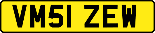 VM51ZEW