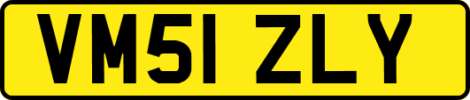 VM51ZLY