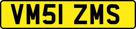VM51ZMS