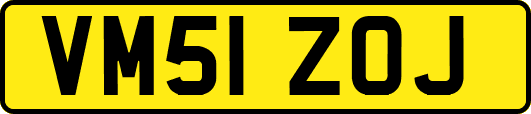 VM51ZOJ