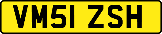 VM51ZSH
