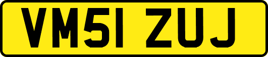 VM51ZUJ