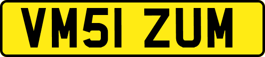 VM51ZUM