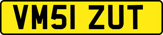 VM51ZUT