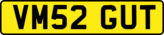 VM52GUT