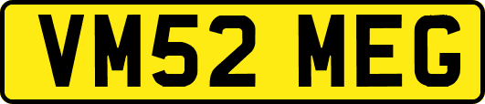 VM52MEG