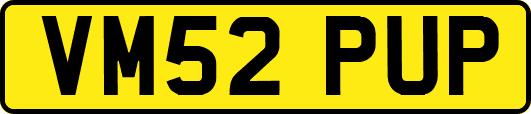 VM52PUP