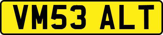 VM53ALT