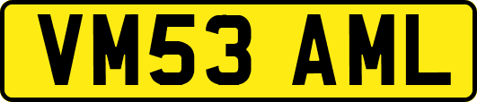 VM53AML