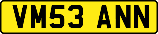 VM53ANN