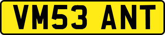 VM53ANT
