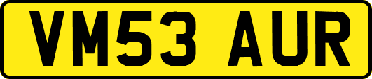 VM53AUR