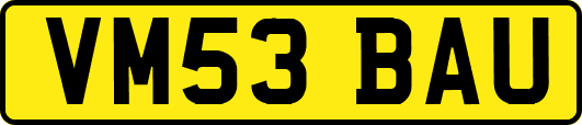 VM53BAU