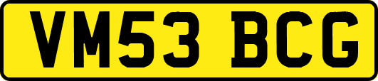 VM53BCG