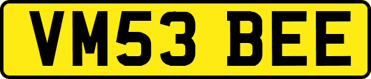 VM53BEE
