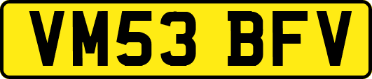 VM53BFV