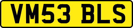 VM53BLS