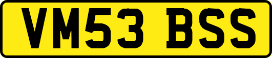 VM53BSS