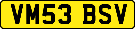 VM53BSV