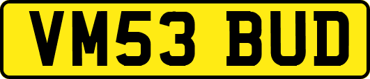 VM53BUD