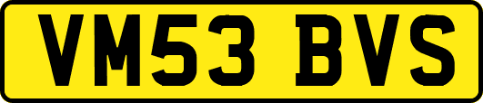 VM53BVS