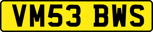 VM53BWS