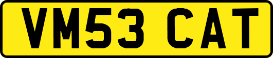 VM53CAT
