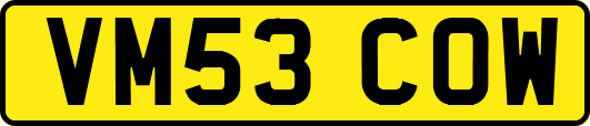 VM53COW