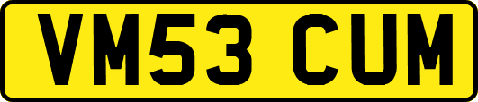VM53CUM