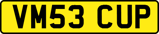 VM53CUP