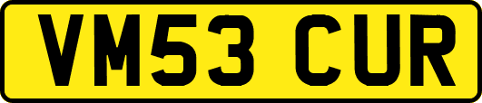 VM53CUR