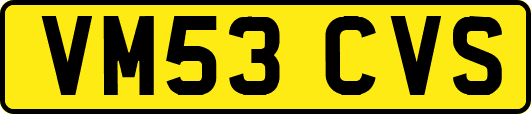 VM53CVS