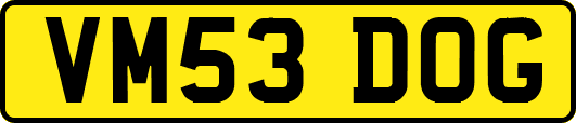 VM53DOG