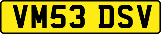 VM53DSV