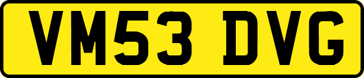 VM53DVG