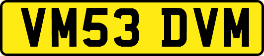 VM53DVM