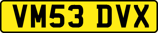 VM53DVX