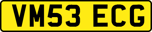 VM53ECG