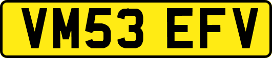 VM53EFV