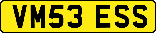 VM53ESS