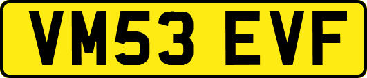 VM53EVF