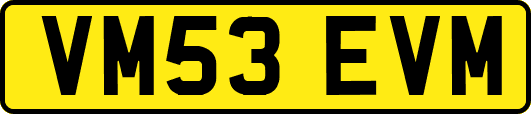 VM53EVM