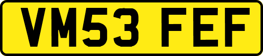 VM53FEF