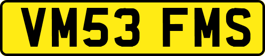 VM53FMS