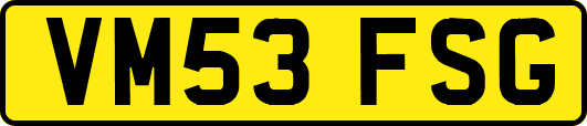 VM53FSG
